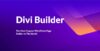 Divi Builder + Divi Theme