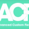 Advanced Custom Fields Pro (ACF) + Addons