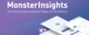 MonsterInsights Pro - Google Analytics