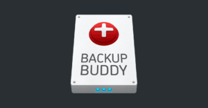 BackupBuddy - Back up, restore and move WordPress