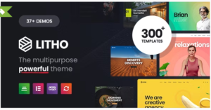 Litho - Multipurpose Elementor WordPress Theme