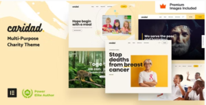Caridad  - Charity WordPress Theme