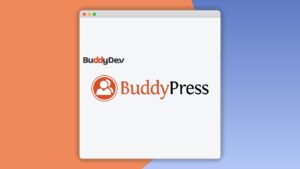 Buddypress Auto Friendship Pro