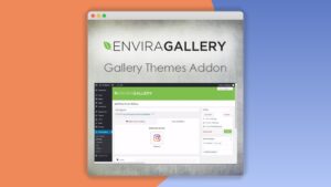 Envira Gallery – Instagram Addon