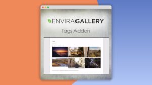 Envira Gallery – Tags Addon