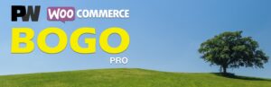 Pw Woocommerce Bogo Pro [Pimwick] – Buy One Get One