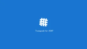 Transposh For Amp