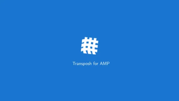 Transposh For Amp