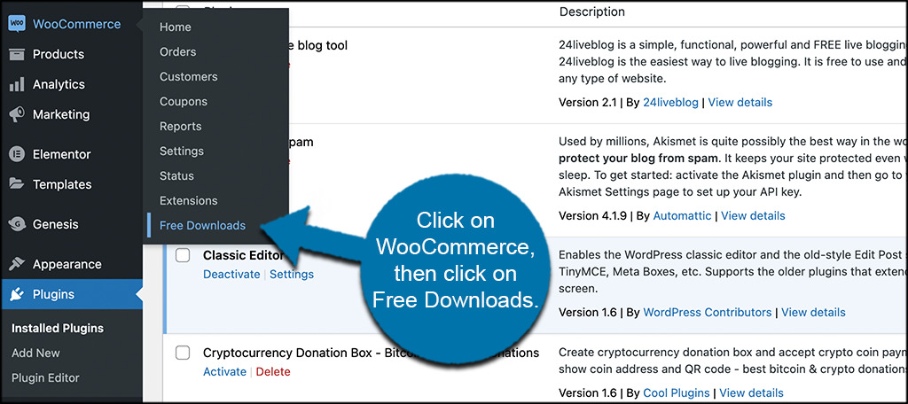 Haga clic en woocommerce y luego haga clic en descarga gratuita