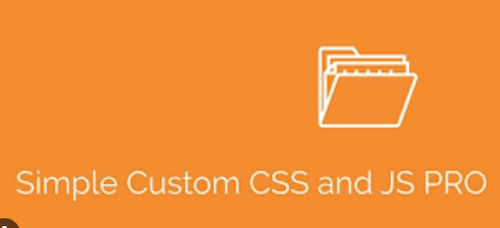 Simple Custom CSS and JS PRO