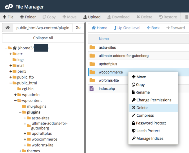 Acceder a los complementos de WordPress desde el Administrador de archivos