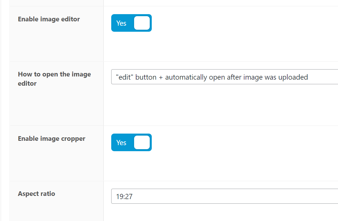 Configuraciones para forzar el formato correcto de la imagen cargada (proporción)
