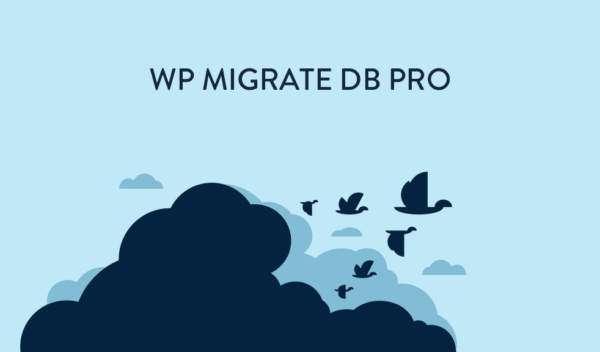 WP Migrate DB