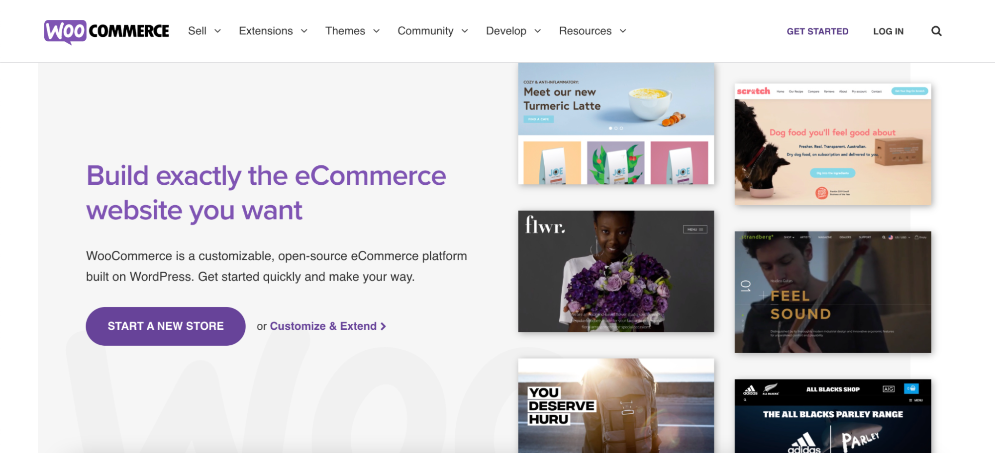 Pros y contras de WooCommerce