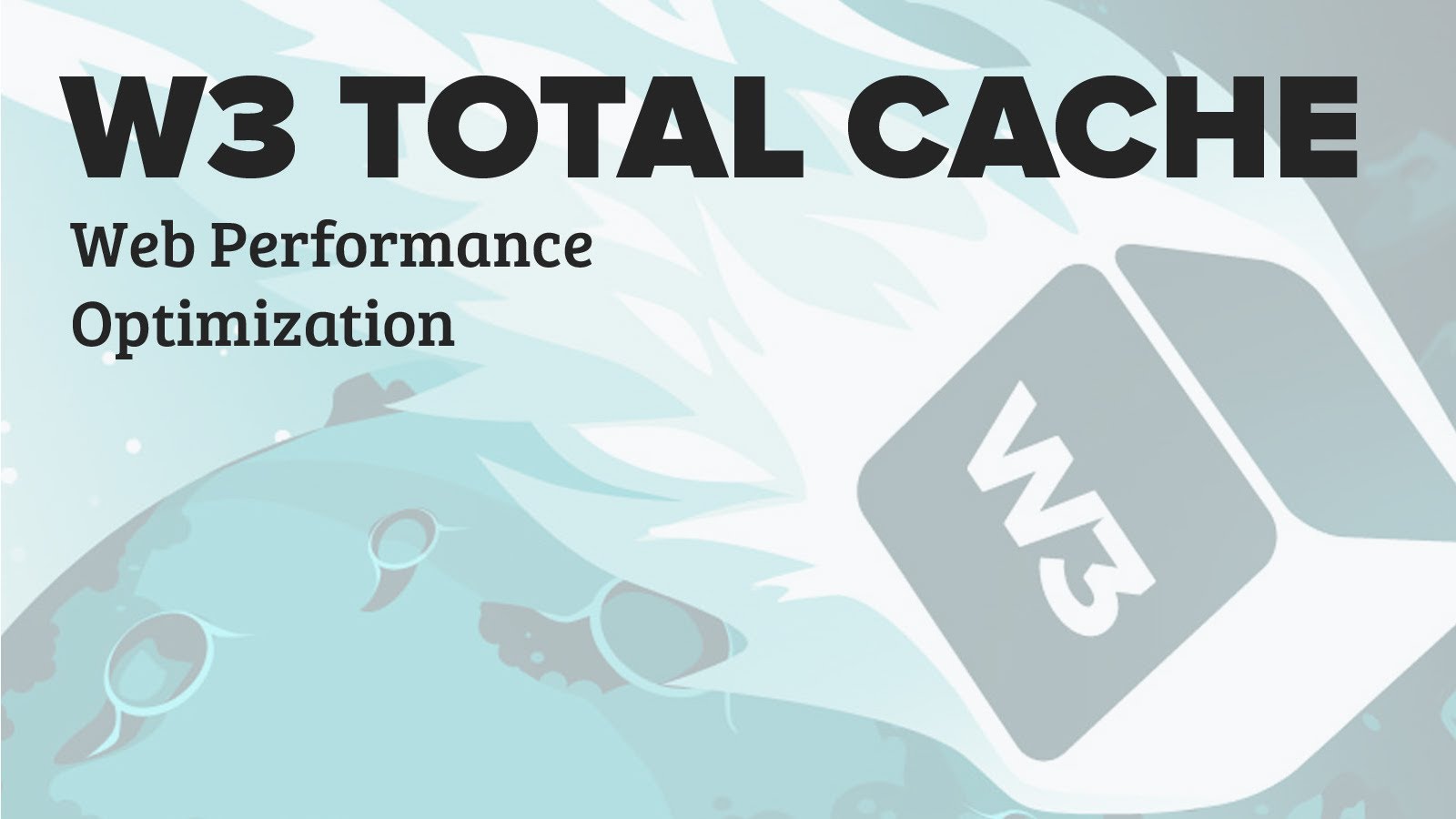 W3 Total Cache PRO