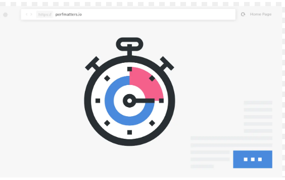Perfmatters – Lightweight Performance