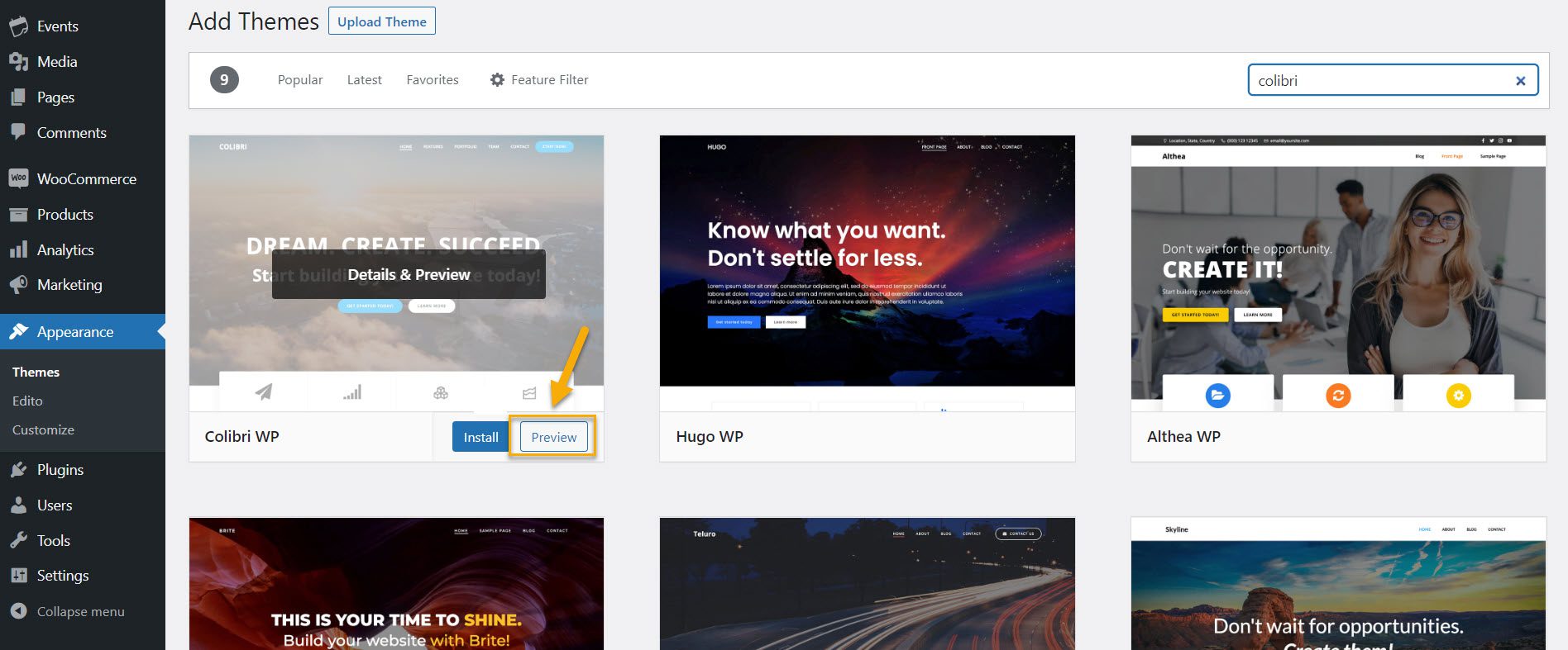 live-preview-1 vista previa en vivo del tema de wordpress