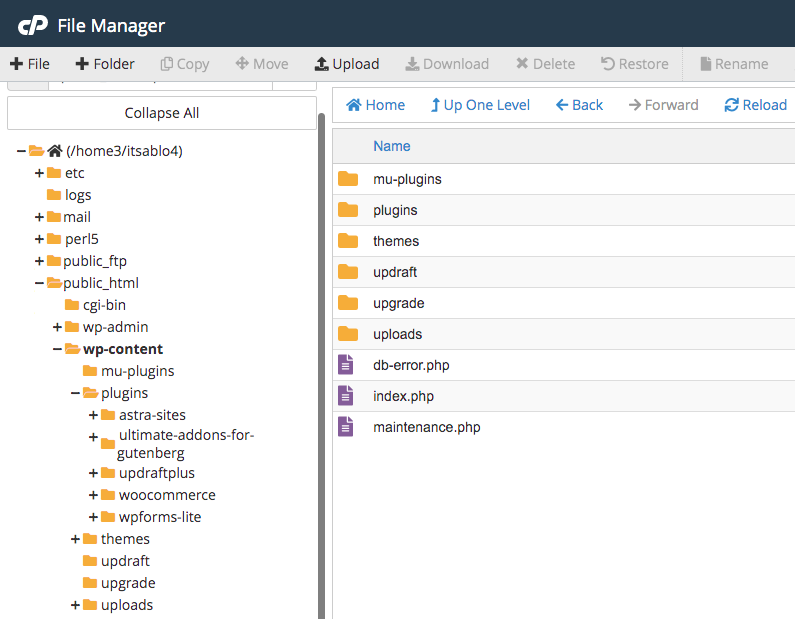 Lista de complementos en el Administrador de archivos